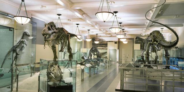 FLI Evidence hall-of-saurischian-dinosaurs