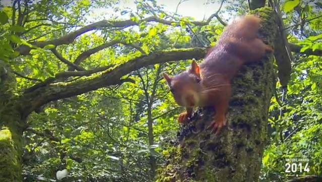 FLI GoPro This is our home