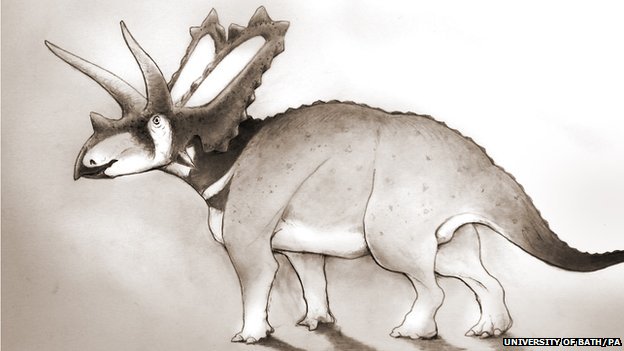 A British palaeontologist has discovered a new species of dinosaur while studying fossils in a Canadian museum. Pentaceratops Aquilonius was related to Triceratops and lived at the end of the Cretaceous Period, around 75 million years ago.