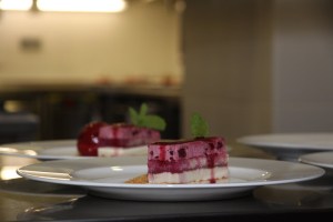 IMG_1242