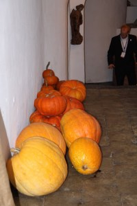 IMG_1845