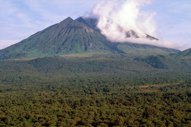 FLI Virunga National Park 1