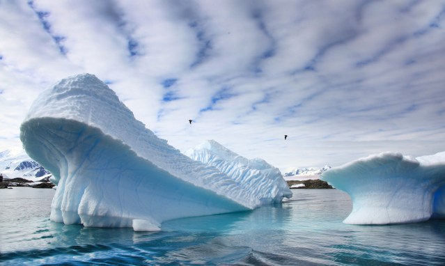 FLI Ijsberg 1