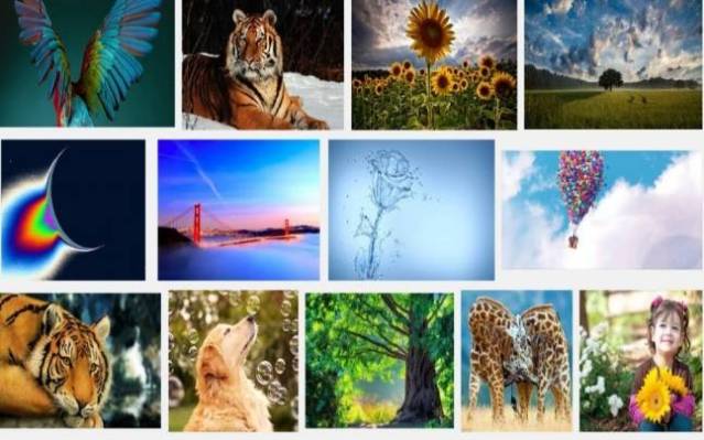 FLI online photographs