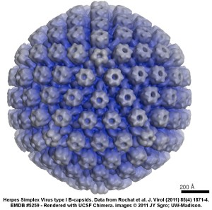 Szpara_2-h1b_blue_4-2016