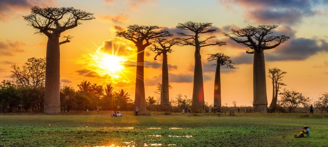 FLI 2016-Madagascar-Africa-Classic-Madagascar