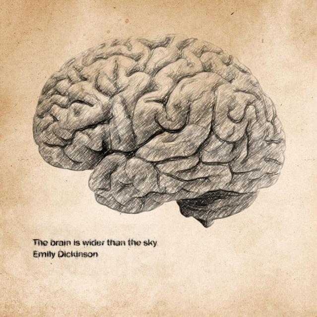 fli-the-brain-is-wider-than-the-sky